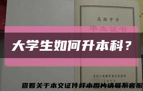 大學生如何升本科？縮略圖