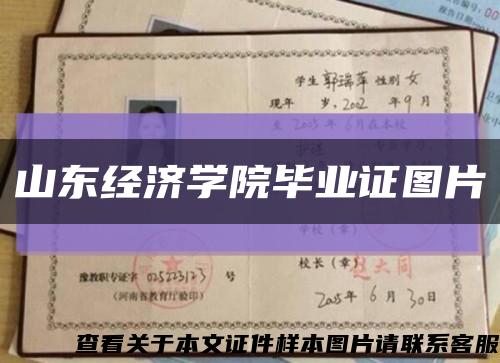 山東經濟學院畢業證圖片縮略圖