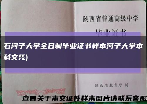 石河子大學全日制畢業證書樣本河子大學本科文憑)縮略圖