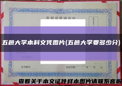 五邑大學本科文憑圖片(五邑大學要多少分)縮略圖