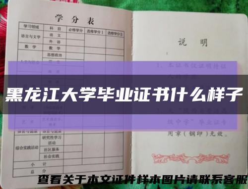 黑龍江大學畢業證書什么樣子縮略圖