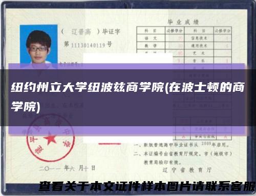 紐約州立大學紐波茲商學院(在波士頓的商學院)縮略圖