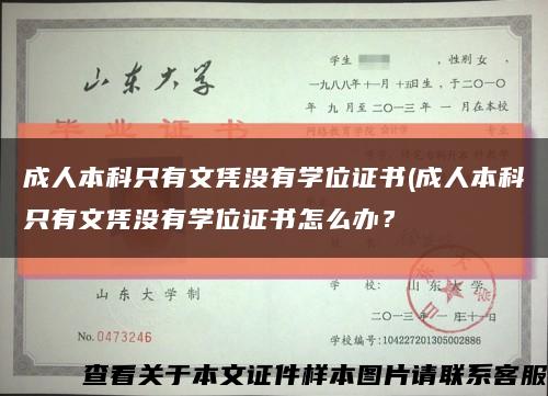 成人本科只有文憑沒有學位證書(成人本科只有文憑沒有學位證書怎么辦？縮略圖