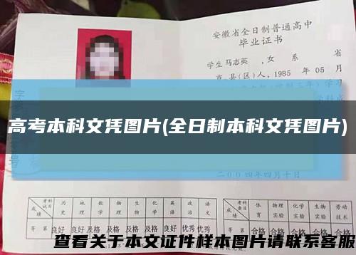 高考本科文憑圖片(全日制本科文憑圖片)縮略圖