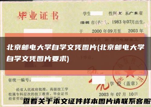 北京郵電大學自學文憑圖片(北京郵電大學自學文憑圖片要求)縮略圖