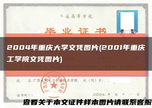 2004年重慶大學文憑圖片(2001年重慶工學院文憑圖片)縮略圖