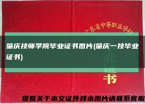 肇慶技師學院畢業證書圖片(肇慶一技畢業證書)縮略圖