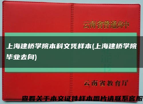 上海建橋學院本科文憑樣本(上海建橋學院畢業去向)縮略圖