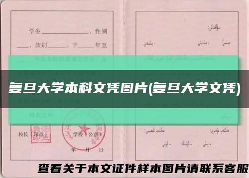 復旦大學本科文憑圖片(復旦大學文憑)縮略圖