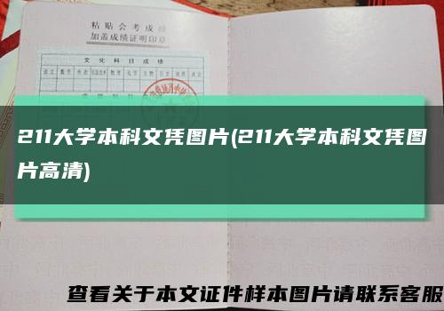 211大學本科文憑圖片(211大學本科文憑圖片高清)縮略圖