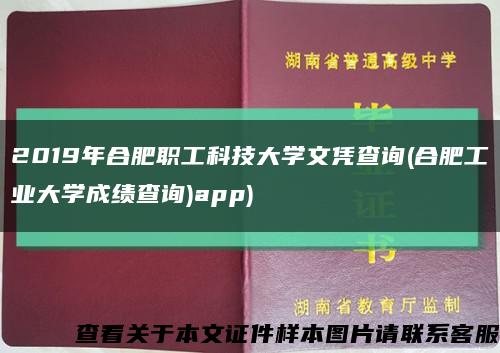 2019年合肥職工科技大學文憑查詢(合肥工業大學成績查詢)app)縮略圖