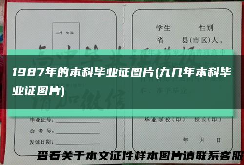 1987年的本科畢業證圖片(九幾年本科畢業證圖片)縮略圖