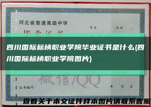 四川國際標榜職業學院畢業證書是什么(四川國際標榜職業學院圖片)縮略圖