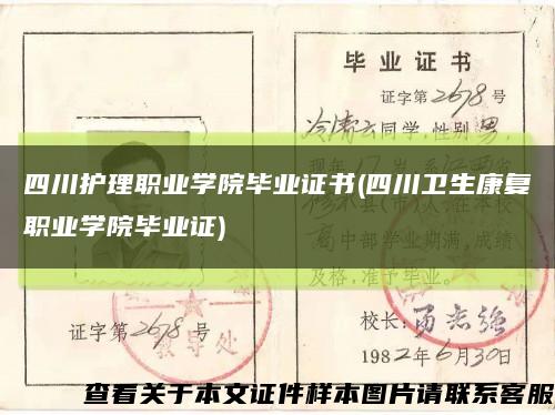 四川護理職業學院畢業證書(四川衛生康復職業學院畢業證)縮略圖