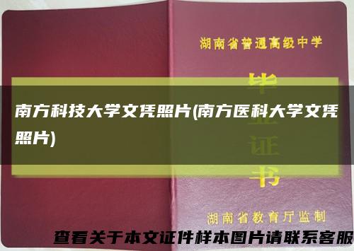 南方科技大學文憑照片(南方醫科大學文憑照片)縮略圖