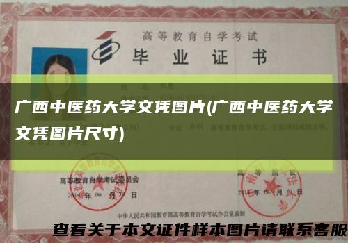 廣西中醫藥大學文憑圖片(廣西中醫藥大學文憑圖片尺寸)縮略圖