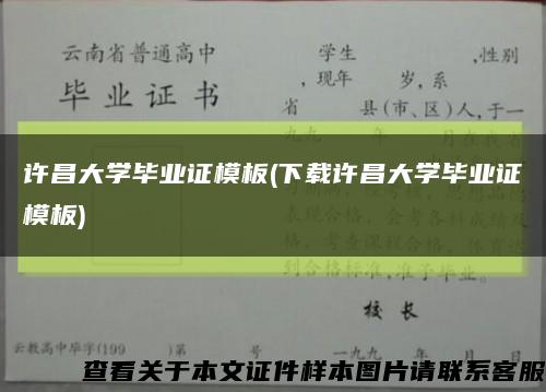 許昌大學畢業證模板(下載許昌大學畢業證模板)縮略圖