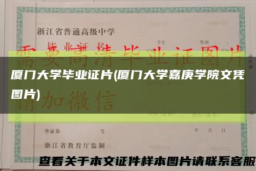 廈門大學畢業證片(廈門大學嘉庚學院文憑圖片)縮略圖