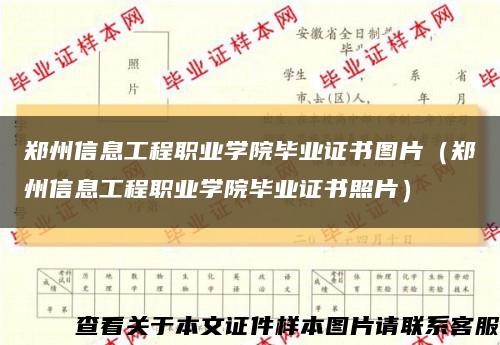 鄭州信息工程職業學院畢業證書圖片（鄭州信息工程職業學院畢業證書照片）縮略圖