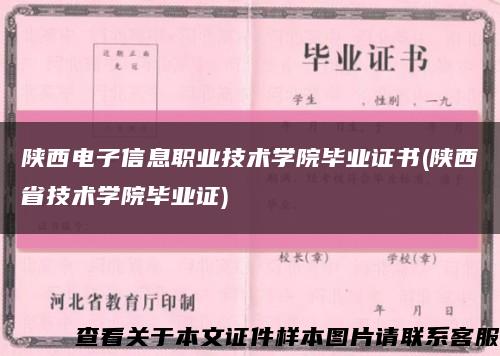 陜西電子信息職業技術學院畢業證書(陜西省技術學院畢業證)縮略圖