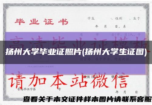 揚州大學畢業證照片(揚州大學生證圖)縮略圖