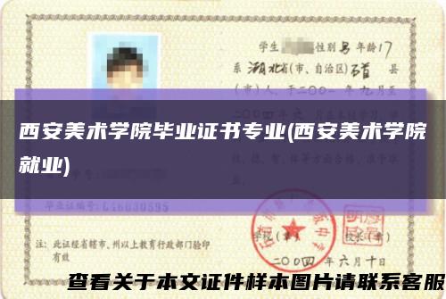 西安美術學院畢業證書專業(西安美術學院就業)縮略圖
