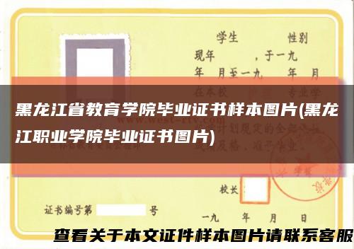 黑龍江省教育學院畢業證書樣本圖片(黑龍江職業學院畢業證書圖片)縮略圖
