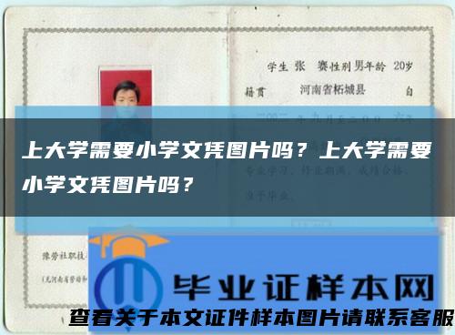 上大學需要小學文憑圖片嗎？上大學需要小學文憑圖片嗎？縮略圖