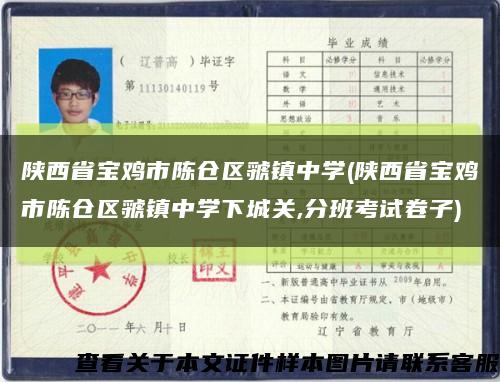 陜西省寶雞市陳倉區虢鎮中學(陜西省寶雞市陳倉區虢鎮中學下城關,分班考試卷子)縮略圖