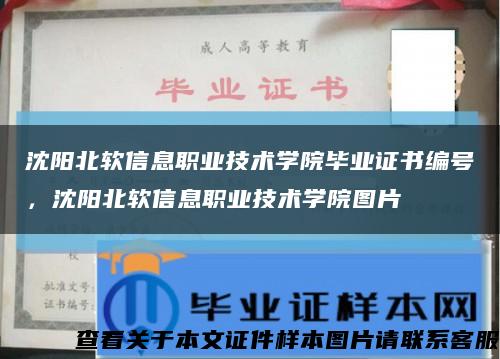 沈陽北軟信息職業技術學院畢業證書編號，沈陽北軟信息職業技術學院圖片縮略圖