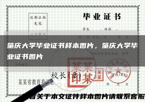 肇慶大學畢業證書樣本圖片，肇慶大學畢業證書圖片縮略圖