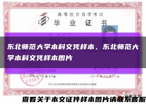 東北師范大學本科文憑樣本，東北師范大學本科文憑樣本圖片縮略圖