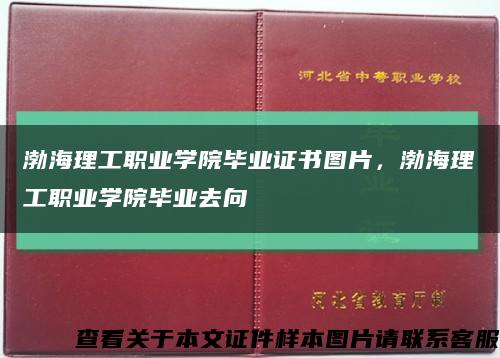 渤海理工職業學院畢業證書圖片，渤海理工職業學院畢業去向縮略圖
