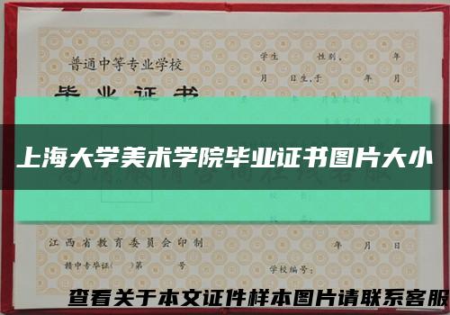 上海大學美術學院畢業證書圖片大小縮略圖