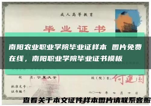 南陽農業職業學院畢業證樣本 圖片免費在線，南陽職業學院畢業證書模板縮略圖