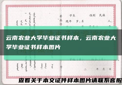 云南農業大學畢業證書樣本，云南農業大學畢業證書樣本圖片縮略圖