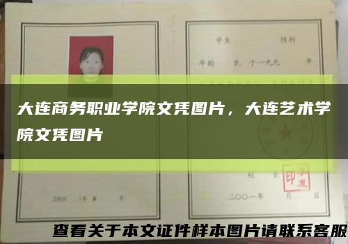 大連商務職業學院文憑圖片，大連藝術學院文憑圖片縮略圖