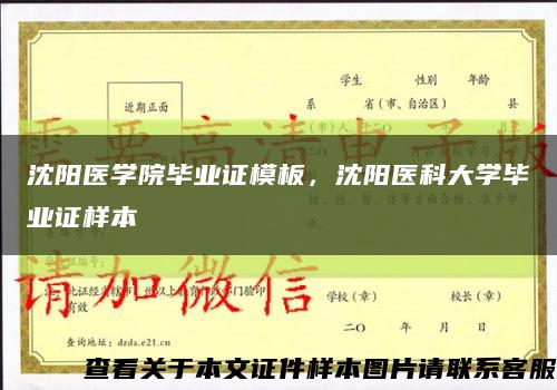 沈陽醫學院畢業證模板，沈陽醫科大學畢業證樣本縮略圖