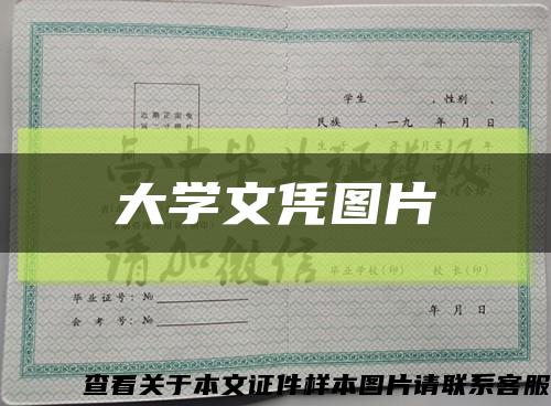 大學文憑圖片縮略圖