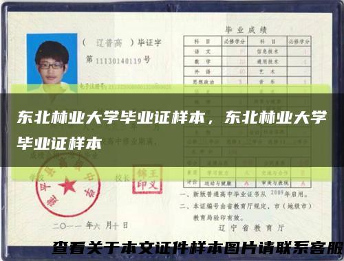 東北林業大學畢業證樣本，東北林業大學畢業證樣本縮略圖