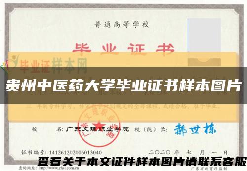 貴州中醫藥大學畢業證書樣本圖片縮略圖
