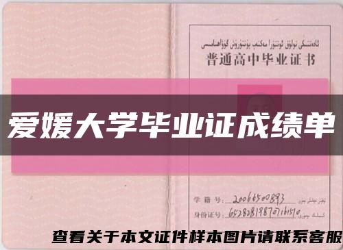 愛媛大學畢業證成績單縮略圖