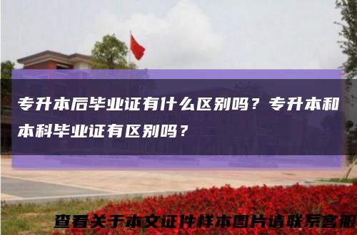 專升本后畢業證有什么區別嗎？專升本和本科畢業證有區別嗎？縮略圖
