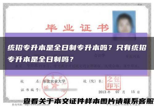 統招專升本是全日制專升本嗎？只有統招專升本是全日制嗎？縮略圖