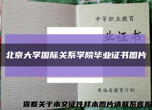 北京大學國際關系學院畢業證書圖片縮略圖