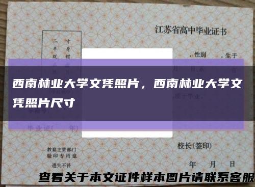 西南林業大學文憑照片，西南林業大學文憑照片尺寸縮略圖