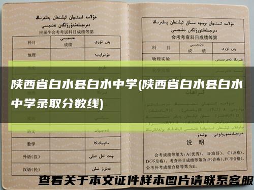 陜西省白水縣白水中學(陜西省白水縣白水中學錄取分數線)縮略圖