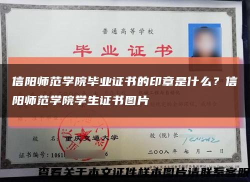 信陽師范學院畢業證書的印章是什么？信陽師范學院學生證書圖片縮略圖