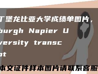愛丁堡龍比亞大學成績單圖片，Edinburgh Napier University transcript縮略圖