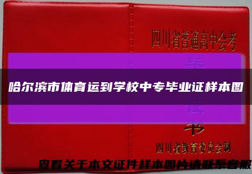 哈爾濱市體育運到學校中專畢業證樣本圖縮略圖